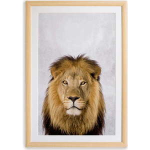 Nástěnný obraz v rámu Surdic Lion, 30 x 40 cm obraz