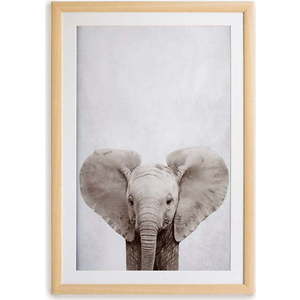 Nástěnný obraz v rámu Surdic Elephant, 30 x 40 cm obraz