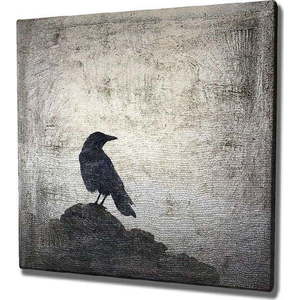 Nástěnný obraz na plátně Black Bird, 45 x 45 cm obraz