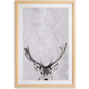 Nástěnný obraz v rámu Surdic Deer, 35 x 45 cm obraz
