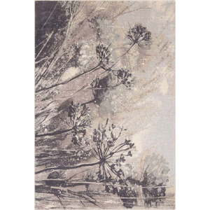 Krémovo-šedý vlněný koberec 200x300 cm Lissey – Agnella obraz