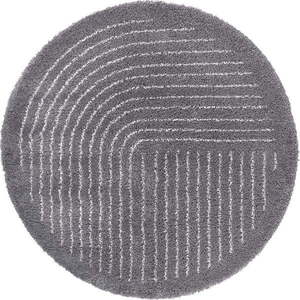 Tmavě šedý kulatý koberec ø 120 cm Dion – Hanse Home obraz