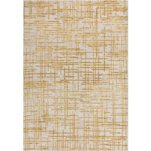 Žlutý koberec 160x230 cm Mason – Asiatic Carpets obraz
