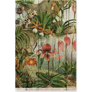 Nástěnná dekorace z borovicového dřeva Madre Selva Jungle Flowers, 60 x 40 cm obraz