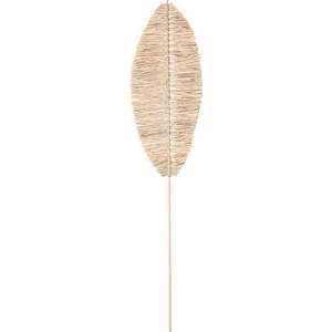Sušená rostlina (výška 92 cm) Emia – Bloomingville obraz
