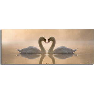 Obraz na plátně Swan Love, 90 x 30 cm obraz