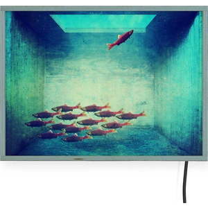 Světelná nástěnná dekorace Surdic Free Fish, 40 x 30 cm obraz