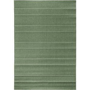 Zelený venkovní koberec Hanse Home Sunshine, 200 x 290 cm obraz