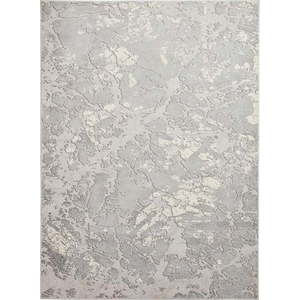 Světle šedo-krémový koberec 80x150 cm Apollo – Think Rugs obraz
