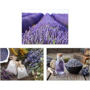 Obrazy v sadě 3 ks 30x40 cm Lavender – Casa Selección obraz