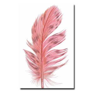 Obraz 45x70 cm Feather – Wallity obraz