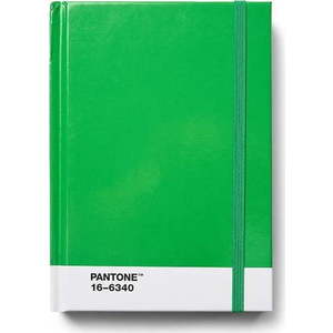 Zápisník Green 16-6340 – Pantone obraz