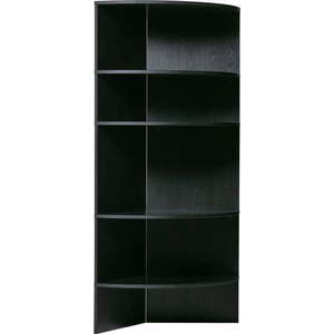 Černá knihovna z jasanového dřeva 100x168 cm Trian – WOOOD obraz