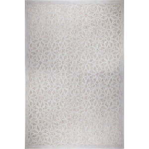 Šedý venkovní koberec 290x200 cm Argento - Flair Rugs obraz