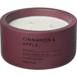 Vonná sojová svíčka doba hoření 25 h Fraga: Cinnamon & Apple – Blomus obraz