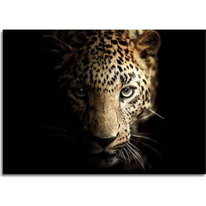 Skleněný obraz 100x70 cm Leopard - Styler obraz
