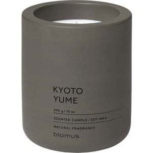 Vonná sojová svíčka doba hoření 55 h Fraga: Kyoto Yume – Blomus obraz