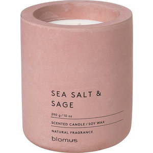 Vonná sojová svíčka doba hoření 55 h Fraga: Sea Salt and Sage – Blomus obraz