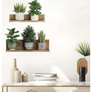 Samolepka na zeď 60x35 cm 3D effect Green Plants – Ambiance obraz