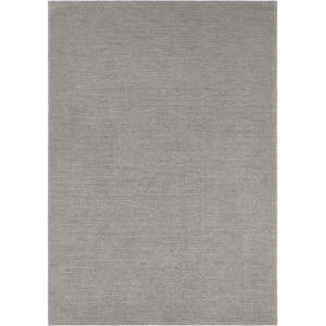 Světle šedý koberec Mint Rugs Supersoft, 200 x 290 cm obraz