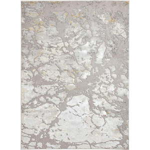 Světle šedý koberec 200x290 cm Apollo – Think Rugs obraz