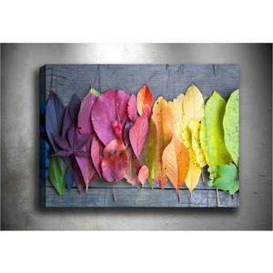 Obraz Tablo Center Autumn Palette, 100 x 70 cm obraz