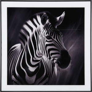 Obraz 50x50 cm Zebra – PT LIVING obraz