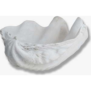Dekorativní mísa z polyresinu 24x19 cm Shell – Mette Ditmer Denmark obraz