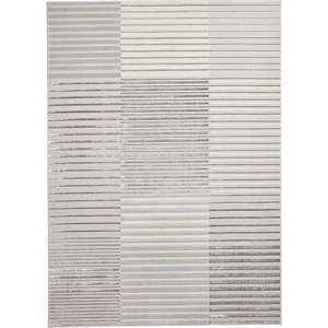 Světle šedo-krémový koberec 80x150 cm Apollo – Think Rugs obraz