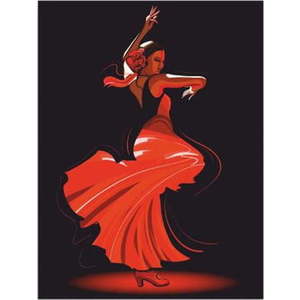 Nástěnný obraz na plátně Tango, 30 x 40 cm obraz