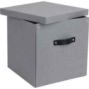 Světle šedá úložná krabice Bigso Box of Sweden Logan obraz