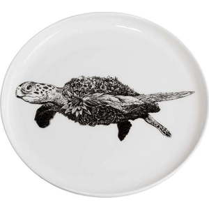 Bílý porcelánový talíř Maxwell & Williams Marini Ferlazzo Sea Turtle, ø 20 cm obraz