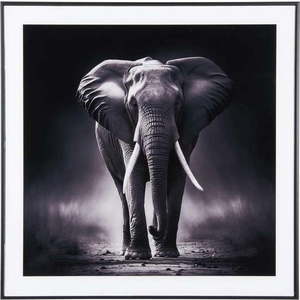 Obraz 50x50 cm Elephant – PT LIVING obraz