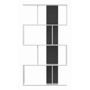 Černo-bílá knihovna 89x165 cm Sigma – TemaHome obraz