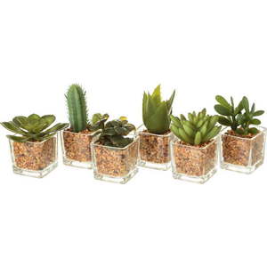 Umělé rostliny v sadě 6 ks (výška 8 cm) Cactus – Casa Selección obraz
