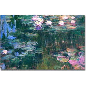 Nástěnná reprodukce na plátně Claude Monet, 45 x 70 cm obraz