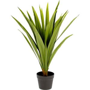 Umělá rostlina (výška 80 cm) Yucca – Kave Home obraz