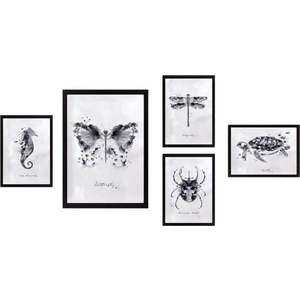Obrazy v sadě 5 ks Butterfly – Wallity obraz