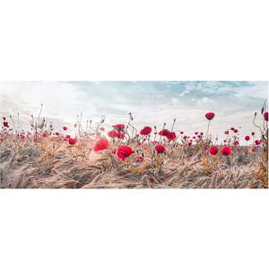 Obraz na plátně Styler Poppies, 60 x 150 cm obraz