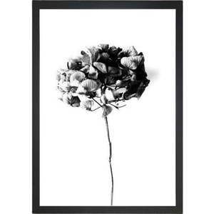 Plakát 24x29 cm Velvet Flower – Tablo Center obraz