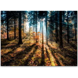 Obraz Styler Glasspik Autumn Sunset, 70 x 100 cm obraz