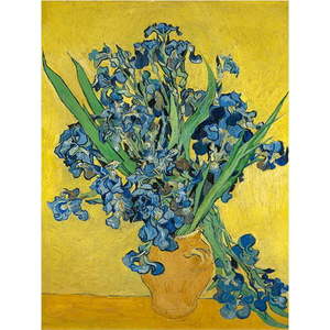 Reprodukce obrazu Vincenta van Gogha - Irises, 60 x 45 cm obraz