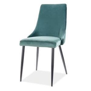 Jídelní židle PAONU zelená/černá obraz