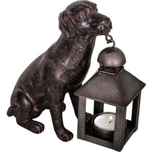Polyresinová lucerna (výška 19 cm) Dog – Antic Line obraz