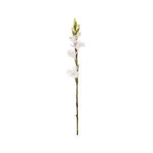 Umělá květina Gladiola 85 cm, bílá obraz