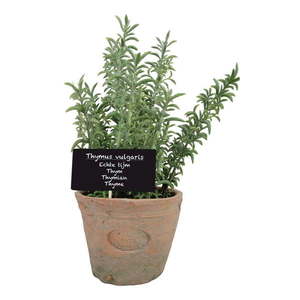 Umělá rostlina (výška 21, 5 cm) Thyme – Esschert Design obraz