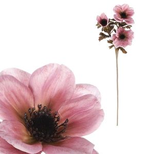 Umělá květina Anemónka starorůžová, 3 květy, 56 x 17 cm obraz
