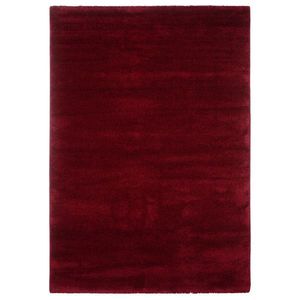 Tkaný Koberec Octavia, 160/230cm, Červená obraz