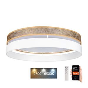 LED Stmívatelné stropní svítidlo LIMA LED/36W/230V Wi-Fi Tuya + DO bílá/zlatá obraz