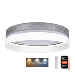 LED Stmívatelné stropní svítidlo LIMA LED/36W/230V Wi-Fi Tuya + DO stříbrná/bílá obraz